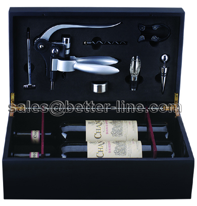 wine set for double bottles