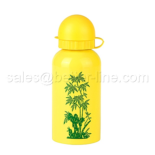 Sports Bottle